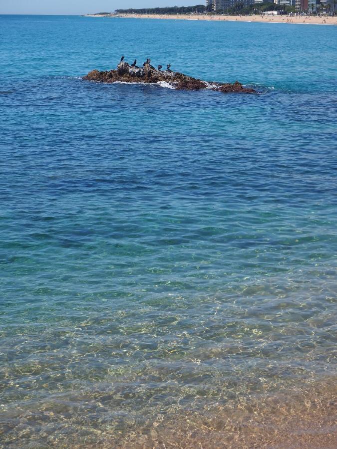 Apartamento Mar I Cel Blanes Luaran gambar